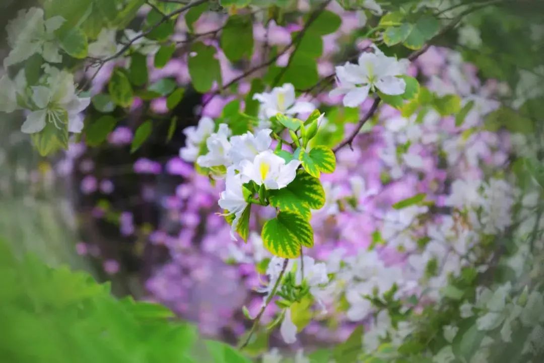 微信圖片_20210301104048.jpg 圖片